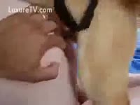 [ Beastiality Porn XXX ] dog needs a Girl's cum-hole